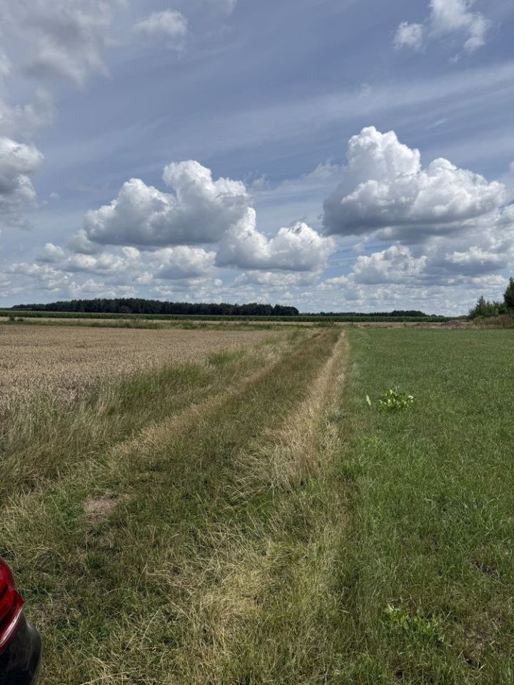 Działka rolno-budowlana Borki Siedleckie, ul. Leśna. Zdjęcie 3