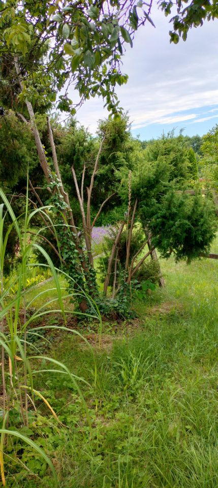 Działka rod Szpęgawsk. Zdjęcie 3