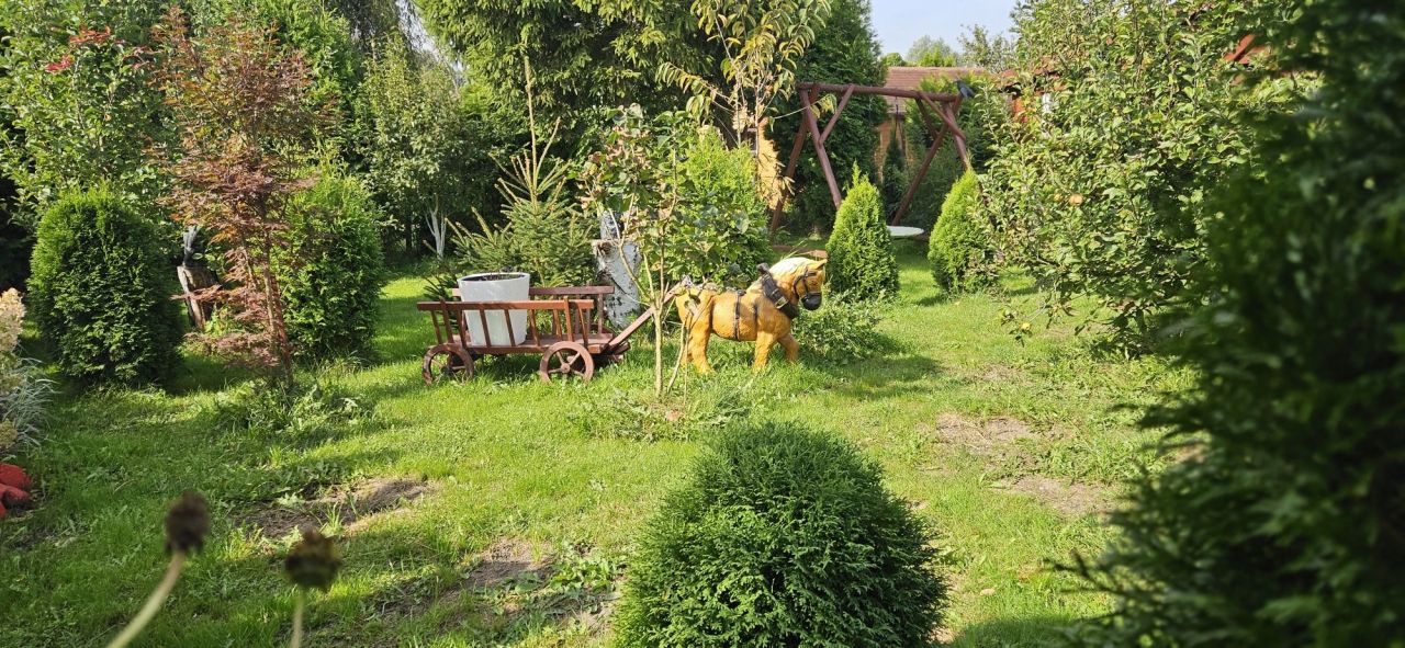 Działka rekreacyjna Szczecin Dąbie