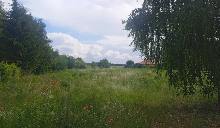 Działka budowlana Jaktorów, ul. Pomorska