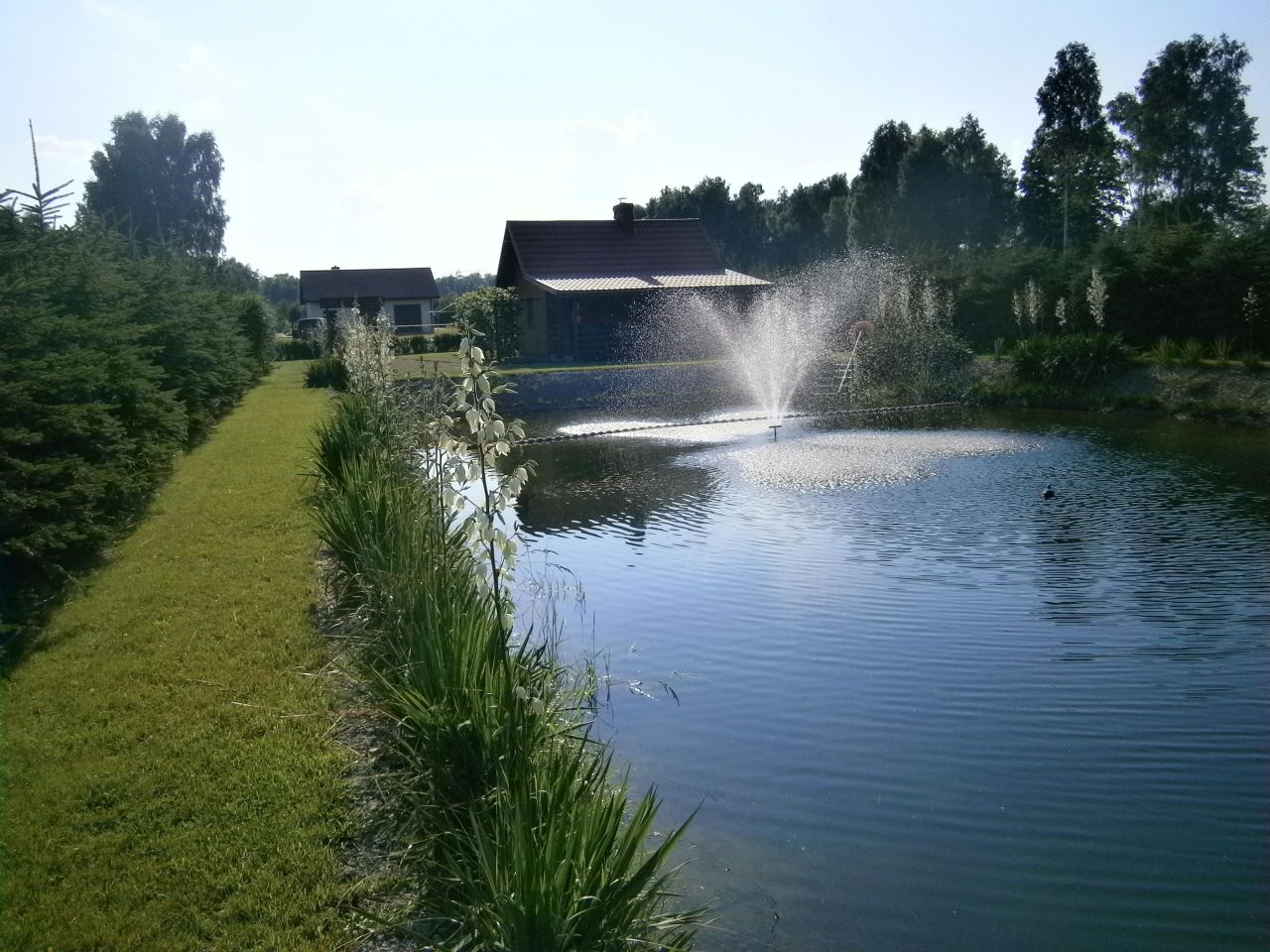 Działka budowlana Nowa Wieś. Zdjęcie 6