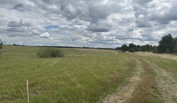 Działka rekreacyjna Dołgie