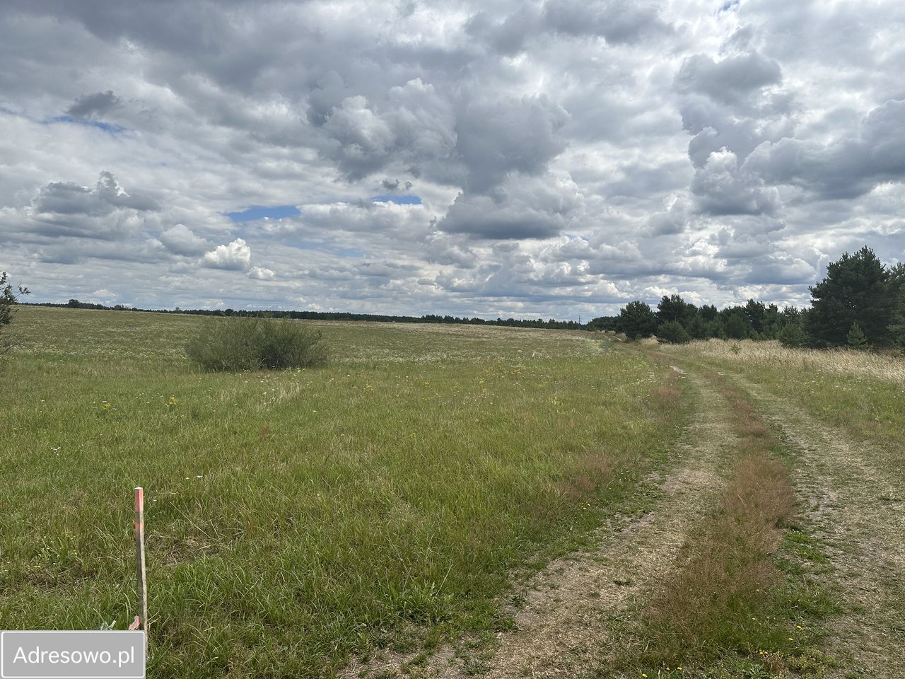 Działka rekreacyjna Dołgie. Zdjęcie 2