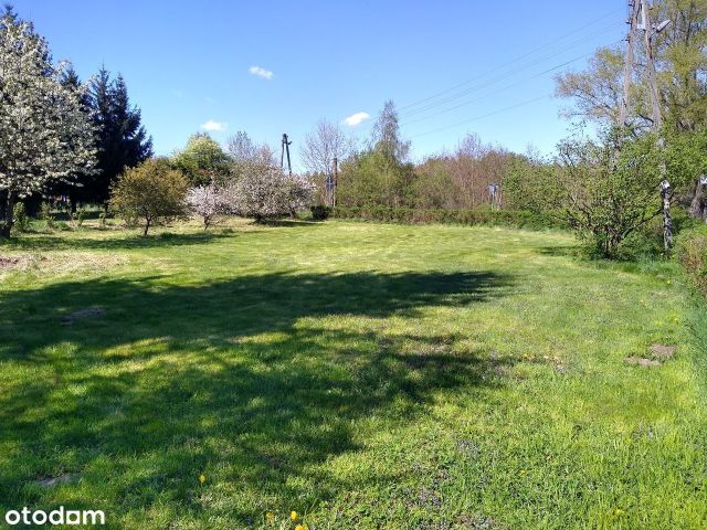 Działka rolna Rynarcice. Zdjęcie 1