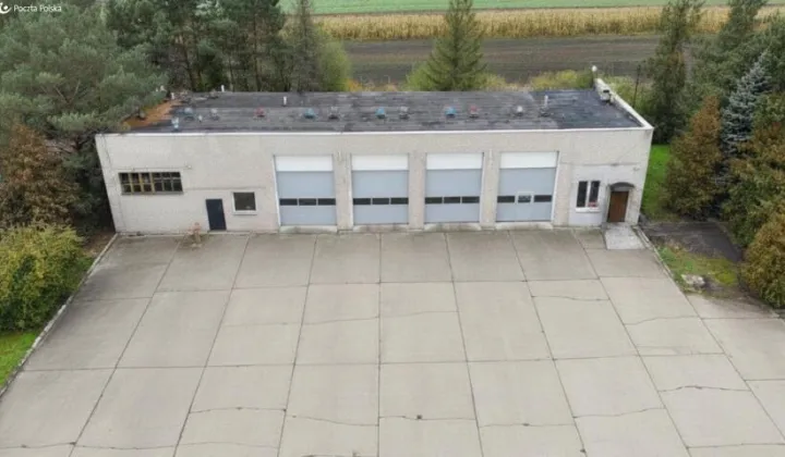 Lokal Opole, ul. Składowa