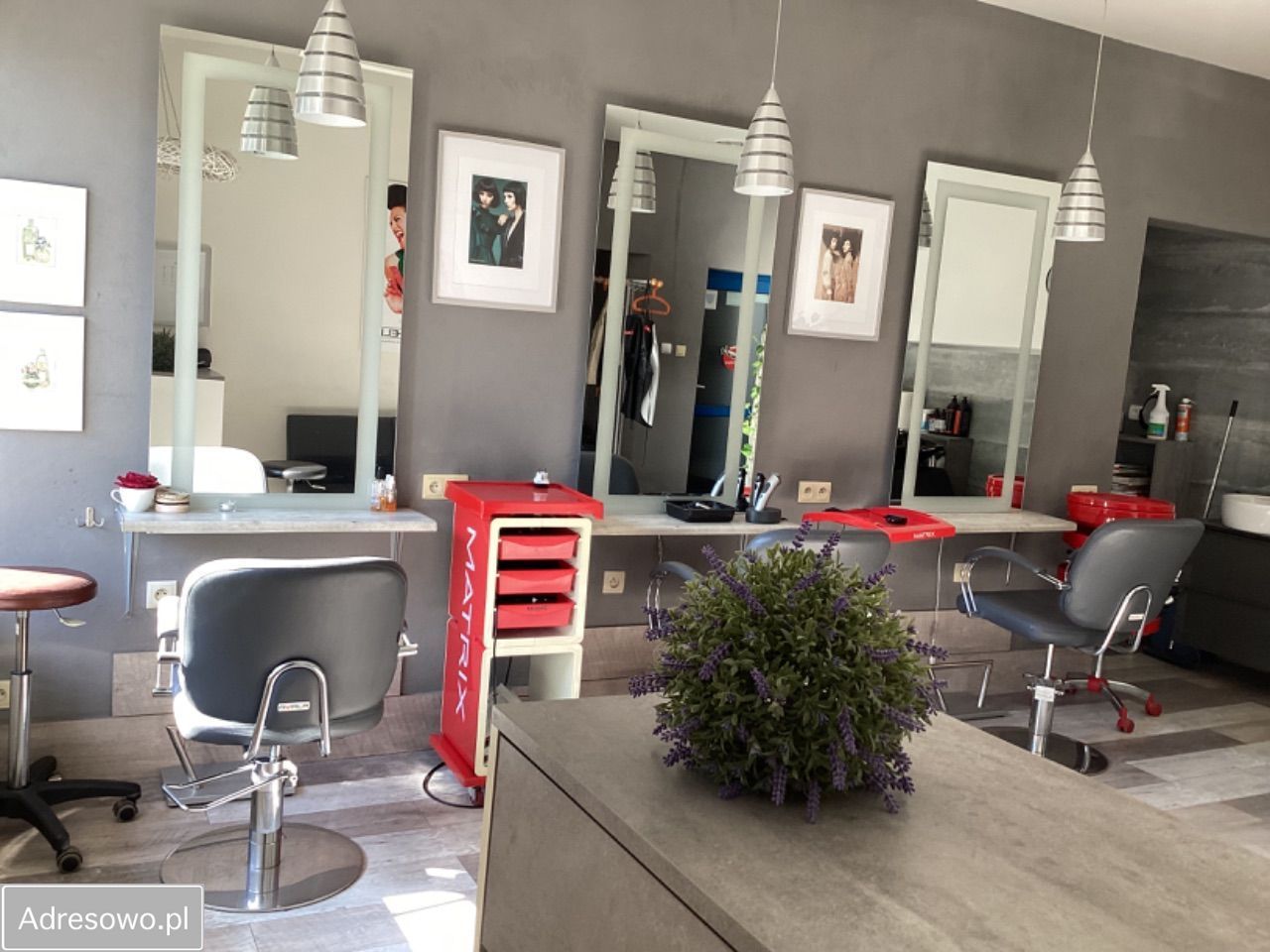 Lokal Poznań Stare Miasto, ul. Skotarska. Zdjęcie 7