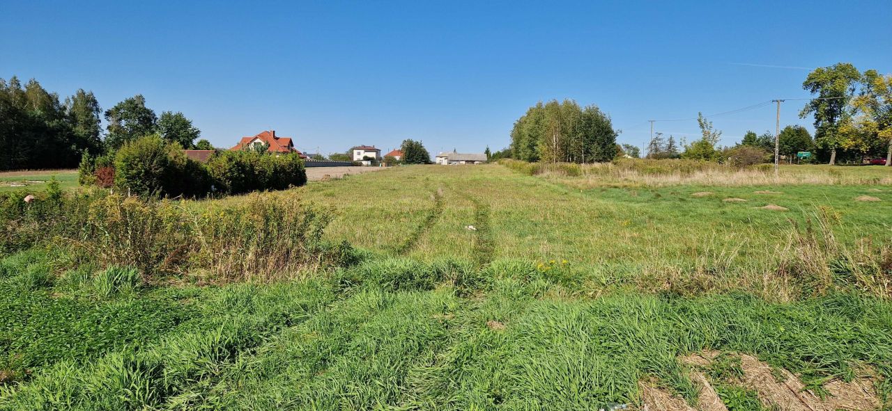 Działka budowlana Siennica. Zdjęcie 2