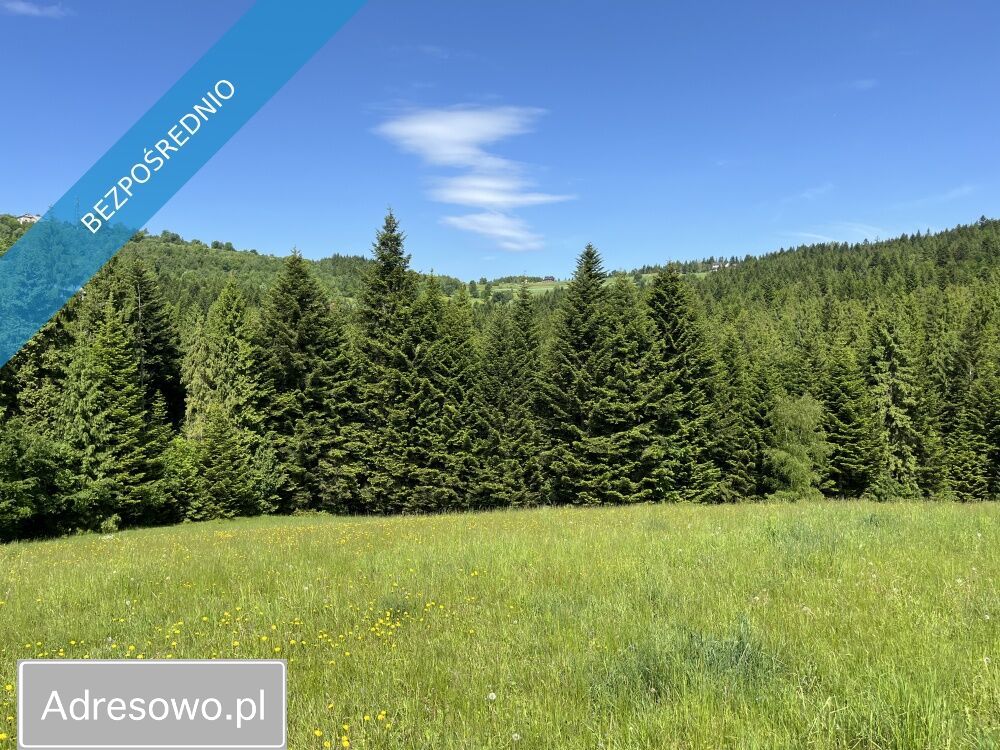 Działka budowlana Bogdanówka