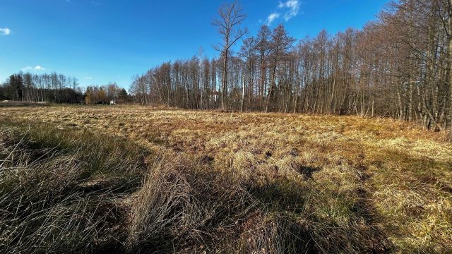 Działka budowlana Budy Łańcuckie. Zdjęcie 1