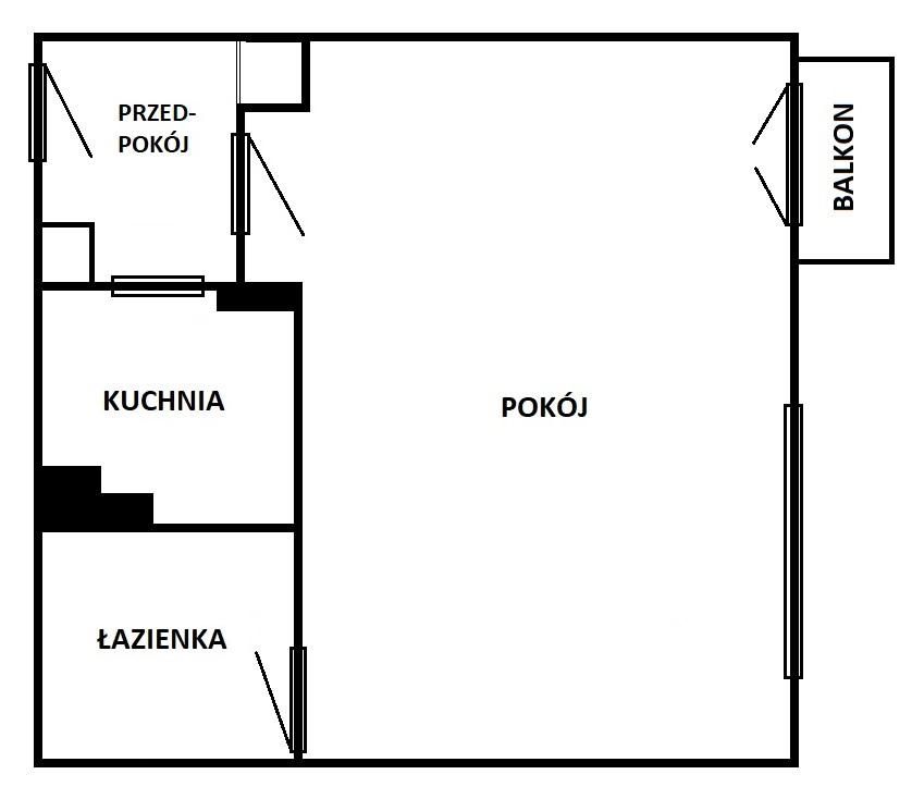 Mieszkanie 1-pokojowe Wrocław Gajowice, ul. Żelazna. Zdjęcie 10