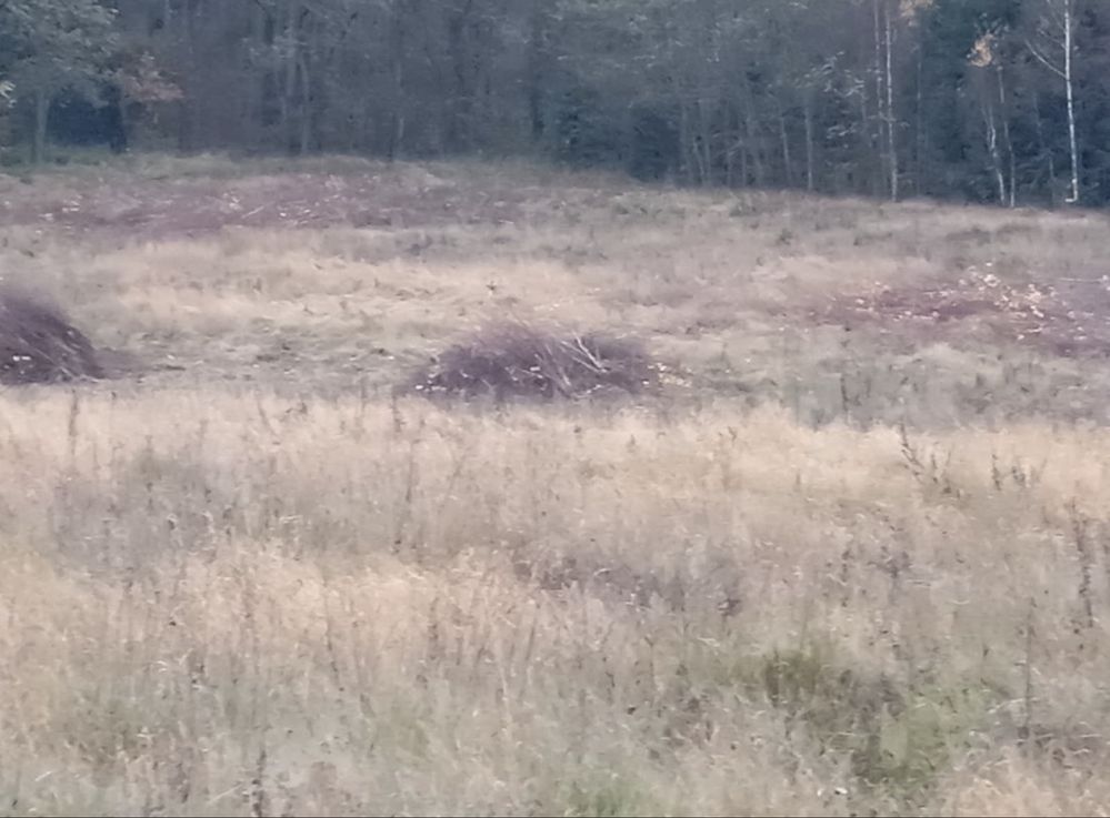 Działka siedliskowa Jakunówko. Zdjęcie 3