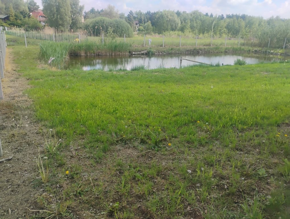 Działka rekreacyjna Głuszynek. Zdjęcie 5