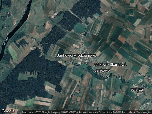 Działka leśna Jankowo-Młodzianowo. Zdjęcie 1