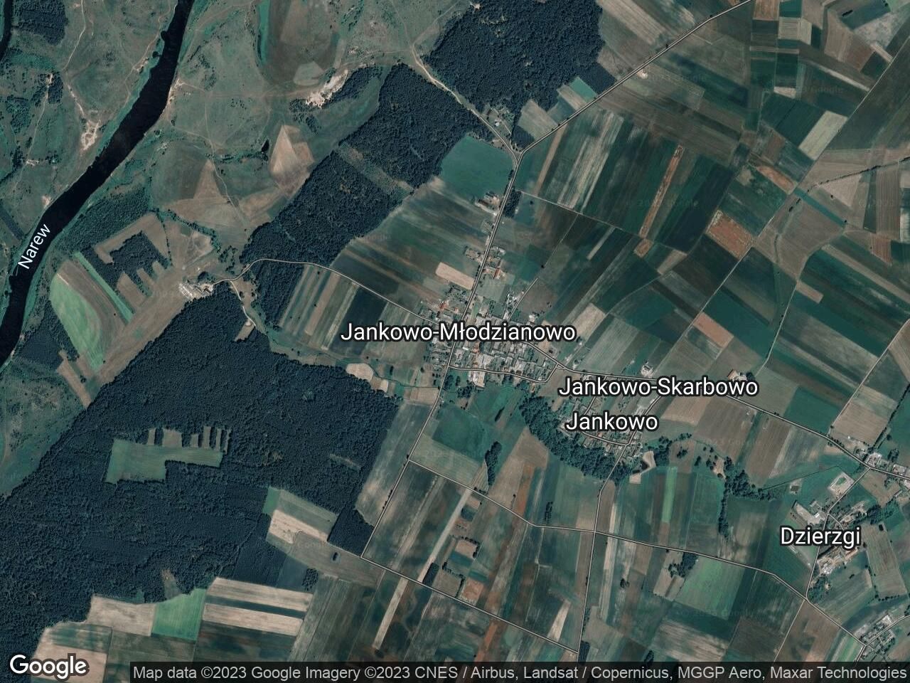 Działka leśna Jankowo-Młodzianowo. Zdjęcie 1