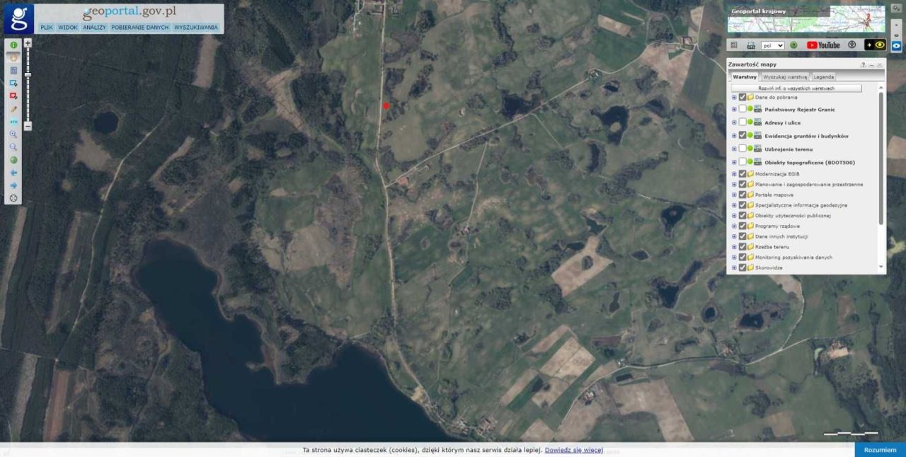 Działka siedliskowa Krzywe. Zdjęcie 4