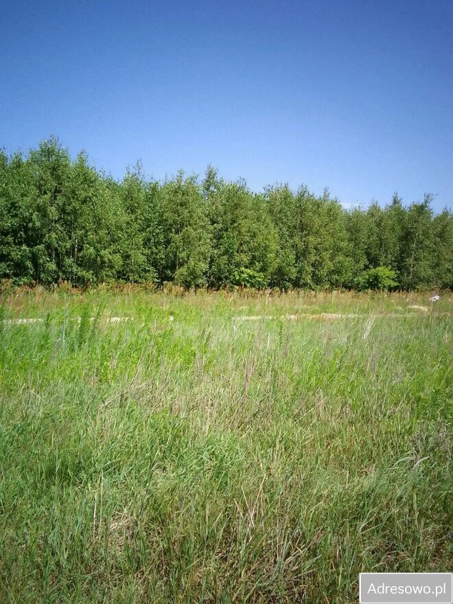 Działka budowlana Brańszczyk. Zdjęcie 9