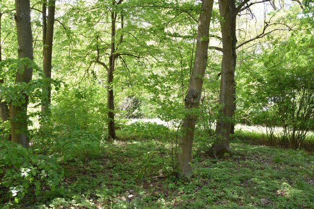 dom wolnostojący, 7 pokoi Tomaszów Mazowiecki Nagórzyce, ul. Starowiejska. Zdjęcie 6