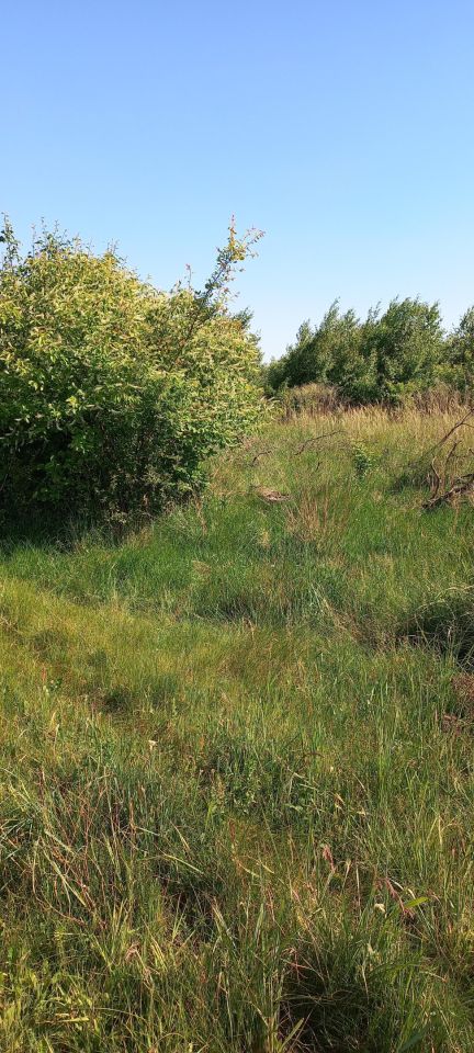 Działka rolno-budowlana Wincentów. Zdjęcie 7