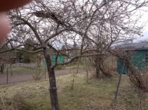 Działka rod Wrocław Maślice, ul. Górecka. Zdjęcie 1