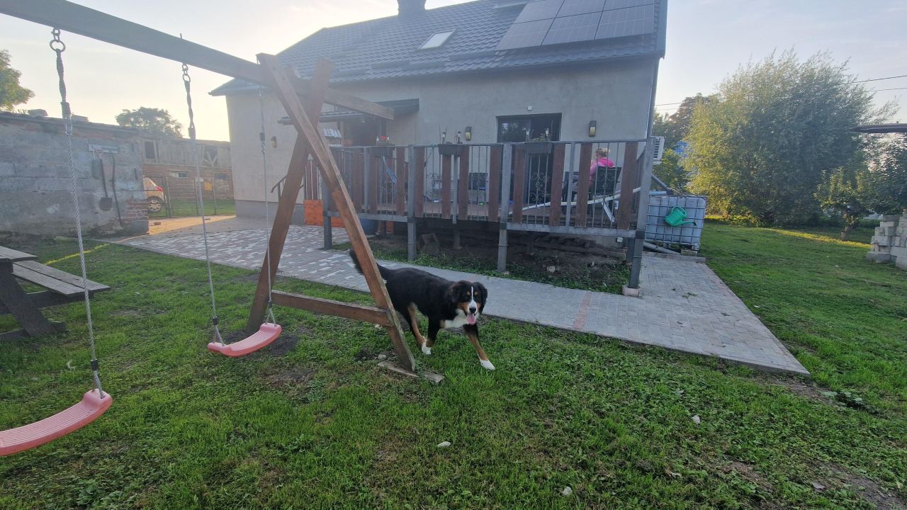 dom wolnostojący, 5 pokoi Przęsławek. Zdjęcie 6