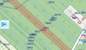 Działka leśna Olszyny-Kolonia