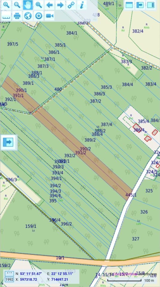 Działka leśna Olszyny-Kolonia. Zdjęcie 2