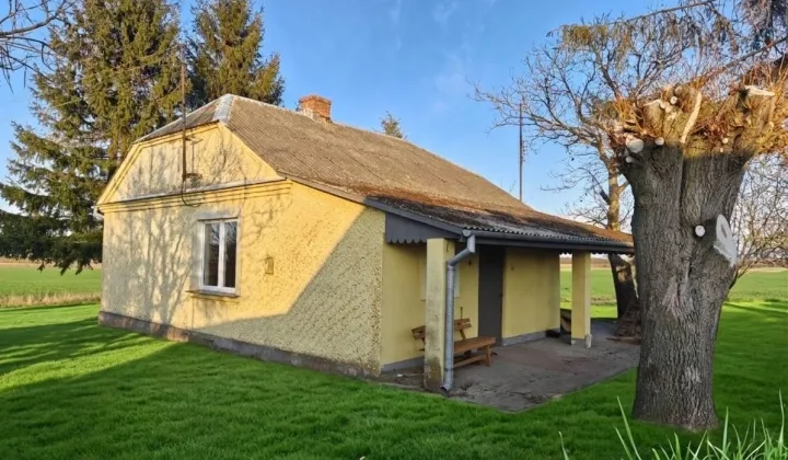 dom wolnostojący, 3 pokoje Michałów