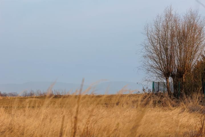 Działka budowlana Międzyrzecze Dolne. Zdjęcie 3