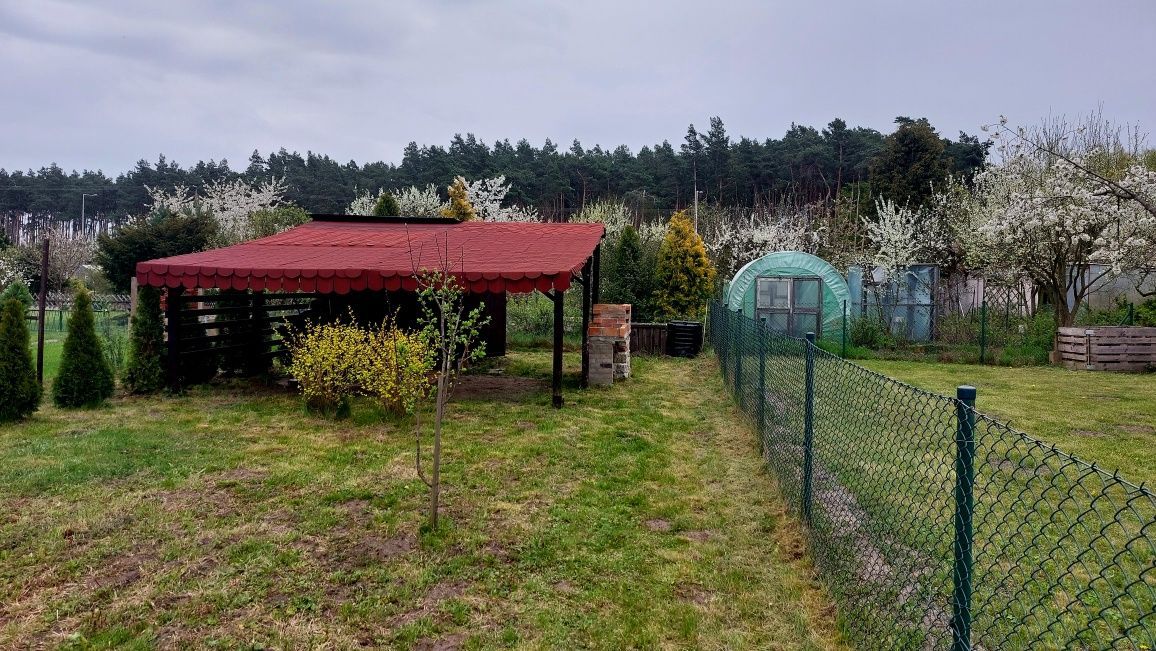 Działka rekreacyjna Leszno. Zdjęcie 1