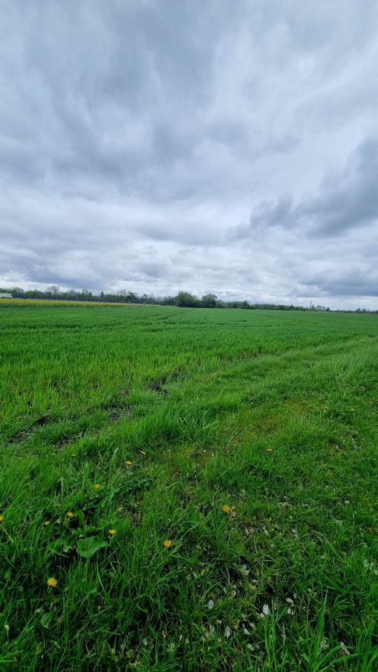 Działka rolna Żuków. Zdjęcie 18