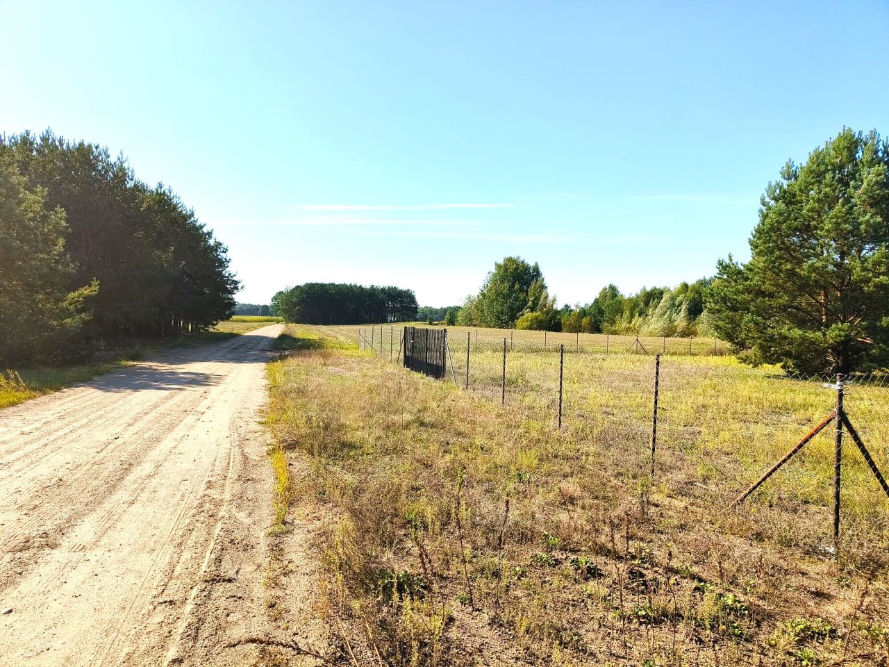 Działka siedliskowa Pełty. Zdjęcie 5