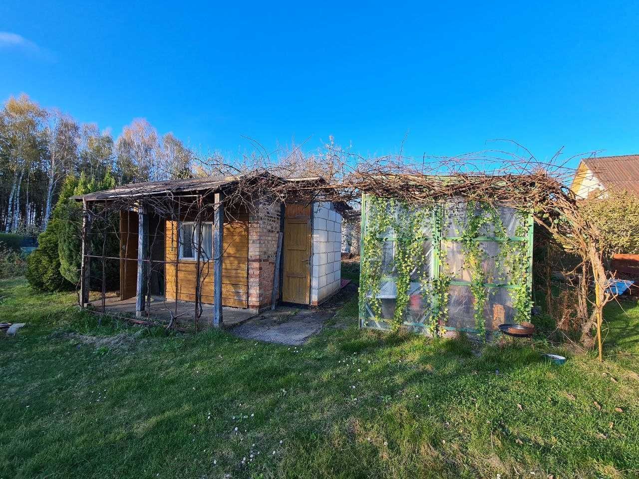 Działka rod Wilkanowo. Zdjęcie 8