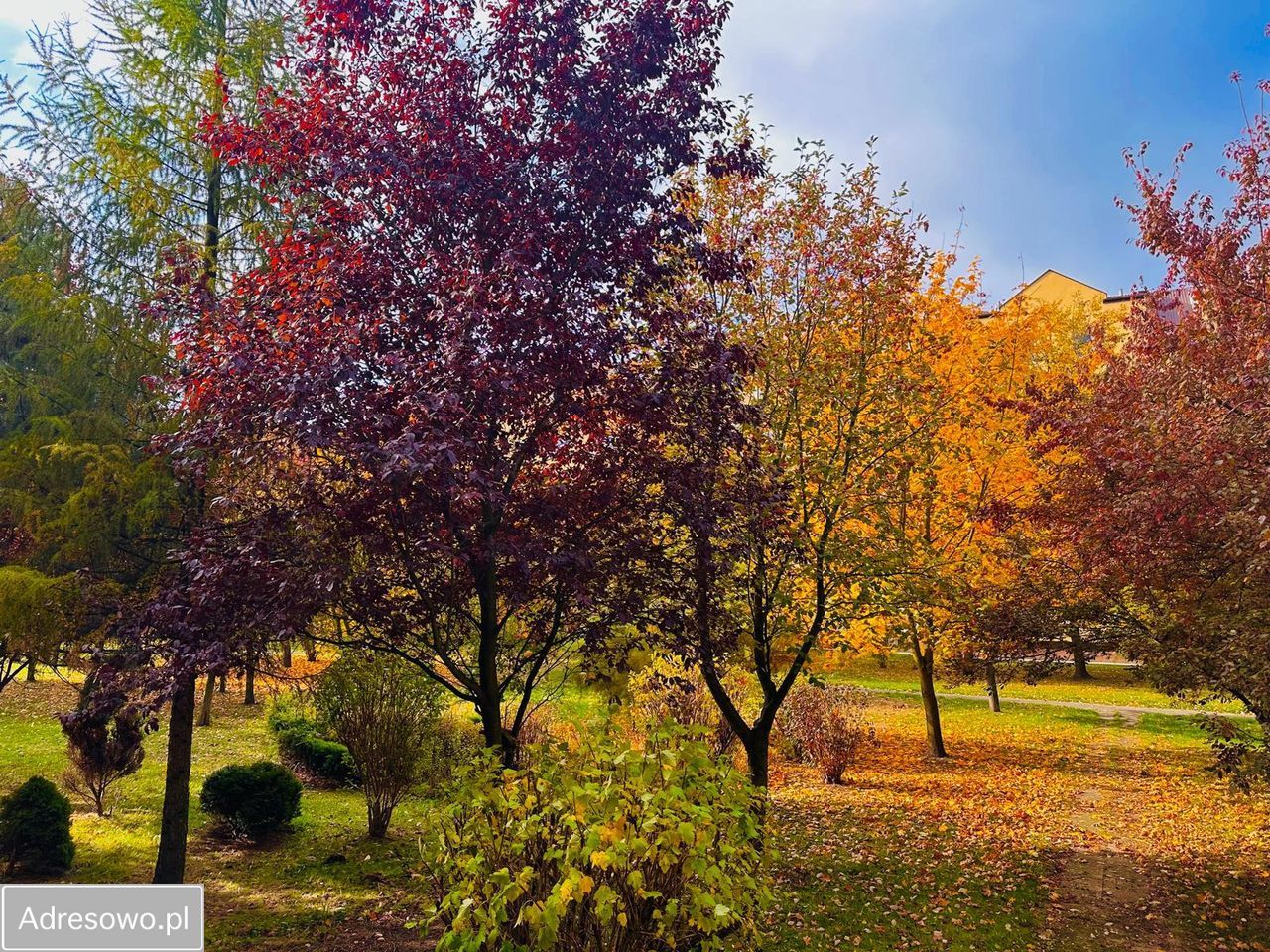 Mieszkanie 3-pokojowe Pruszków, ul. Zasławskiej. Zdjęcie 4