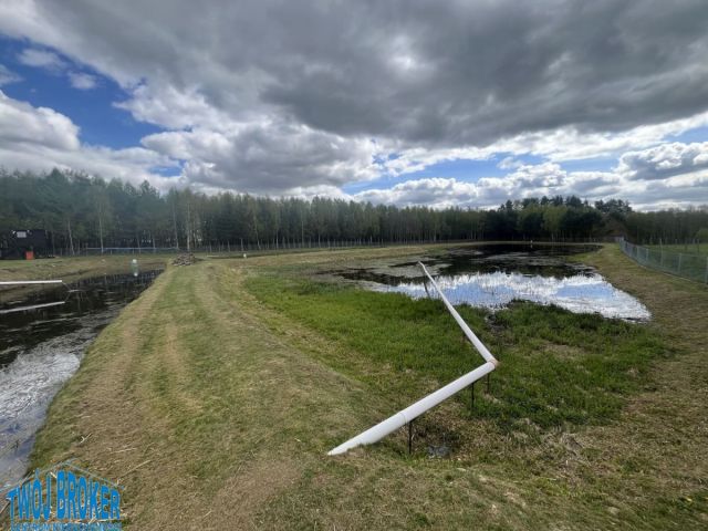 Nieruchomość komercyjna Bytów. Zdjęcie 9