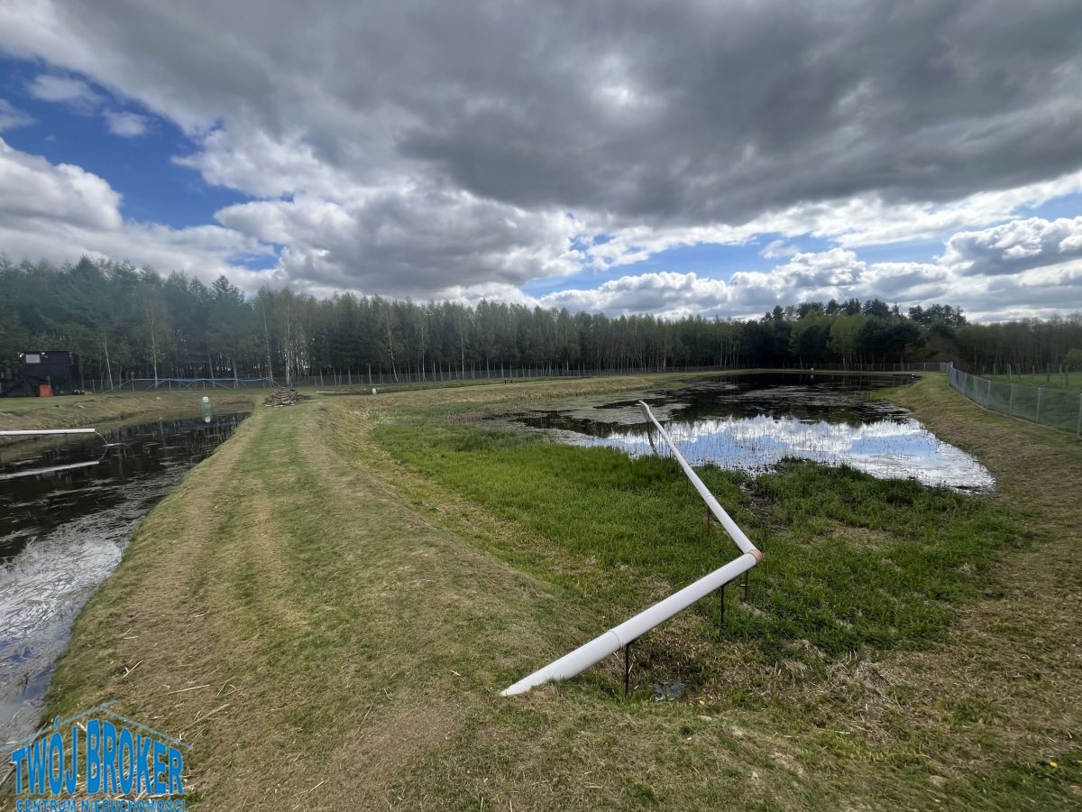 Nieruchomość komercyjna Bytów. Zdjęcie 9