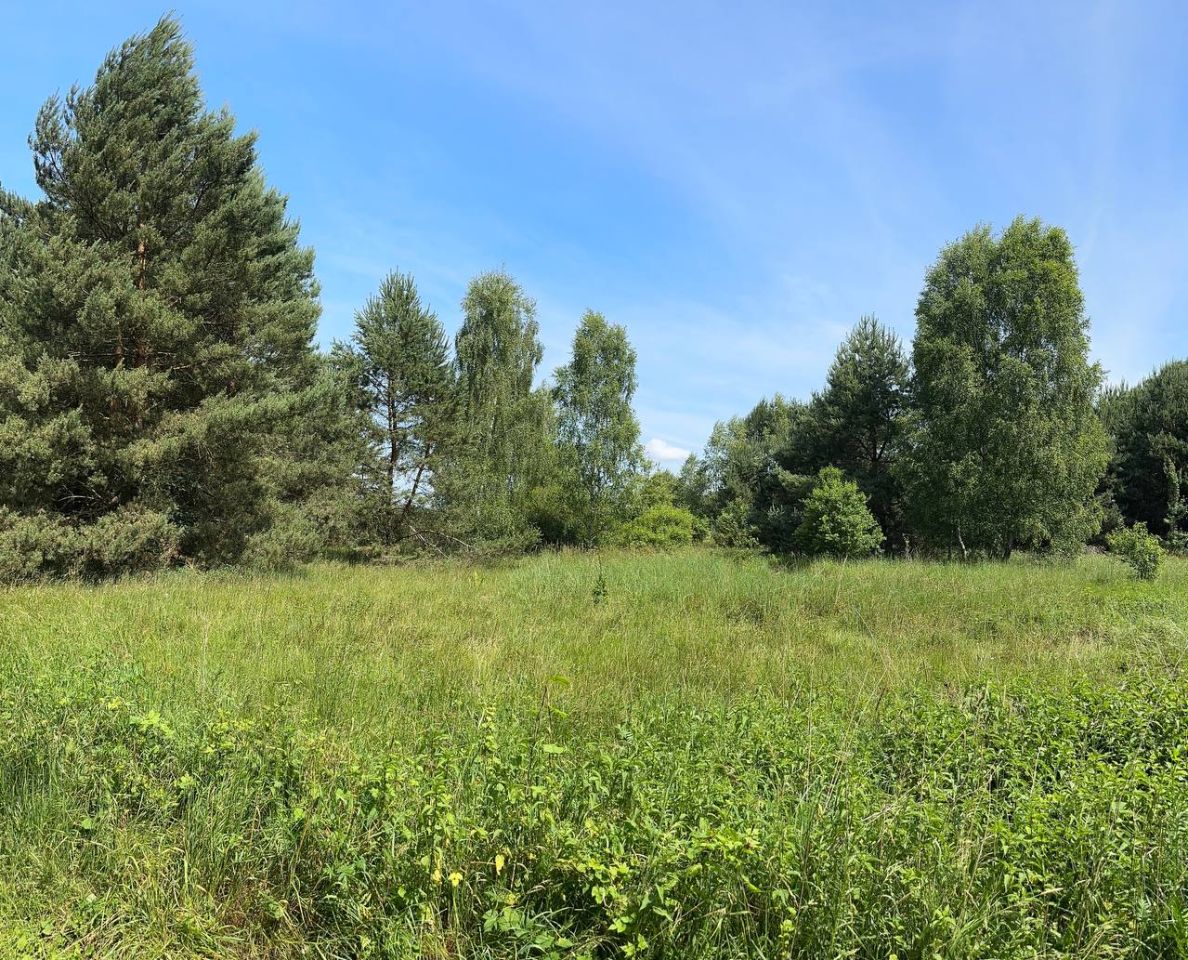 Działka rolna Trzebule. Zdjęcie 6