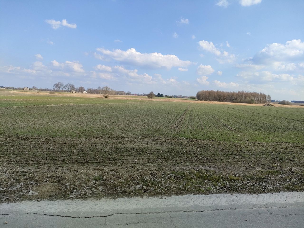 Działka rolno-budowlana Pacierzów, ul. Polna. Zdjęcie 3