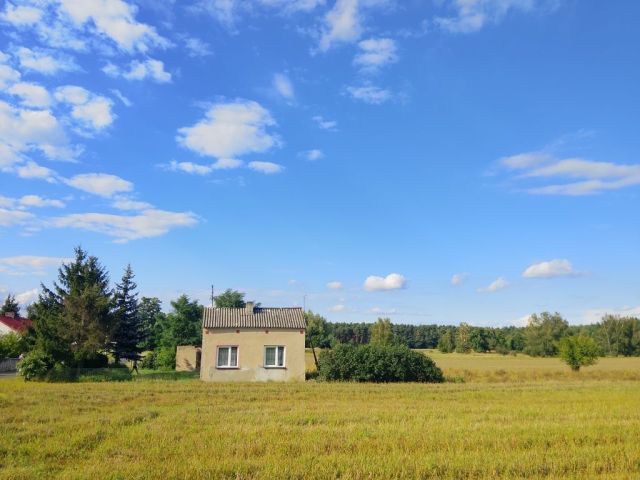 gospodarstwo Grzegorzew, ul. Otaląż. Zdjęcie 1