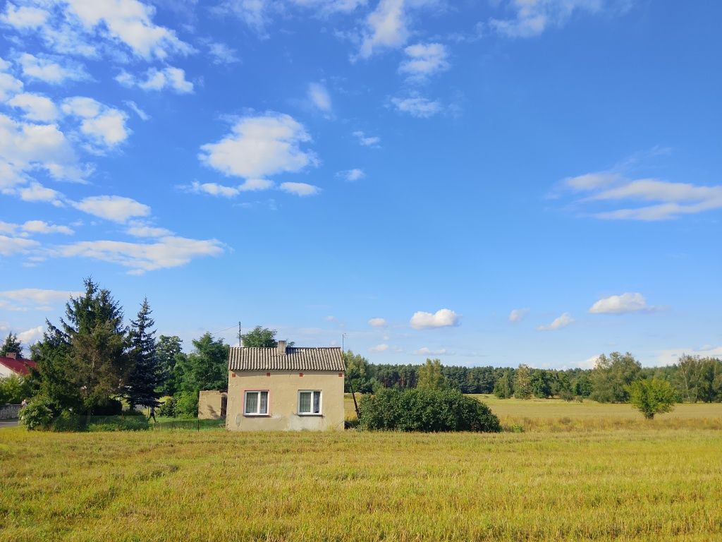 gospodarstwo Grzegorzew, ul. Otaląż. Zdjęcie 1