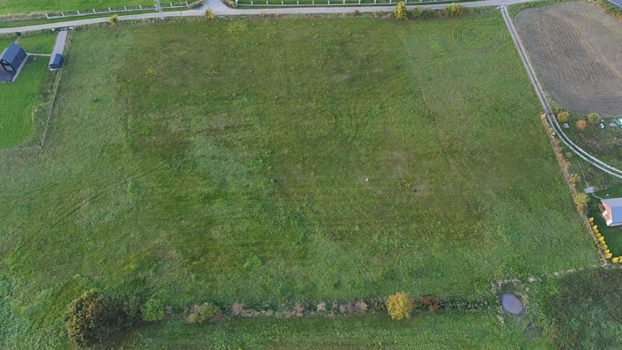 Działka budowlana Sikory. Zdjęcie 4