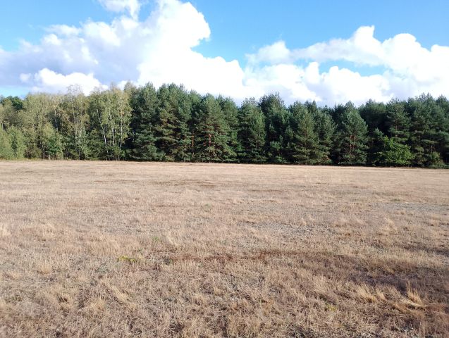 Działka budowlana Franciszków, ul. Jarzębinowa. Zdjęcie 1