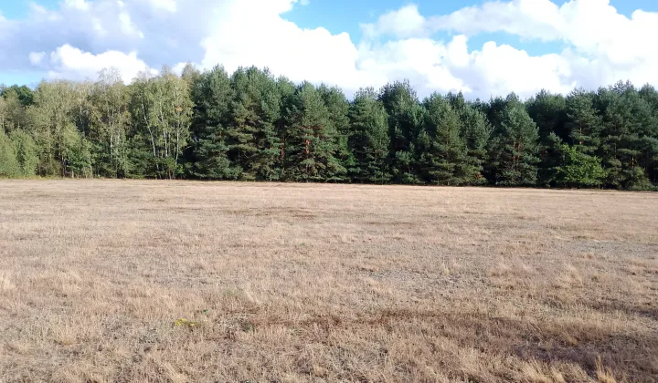 Działka budowlana Franciszków, ul. Jarzębinowa