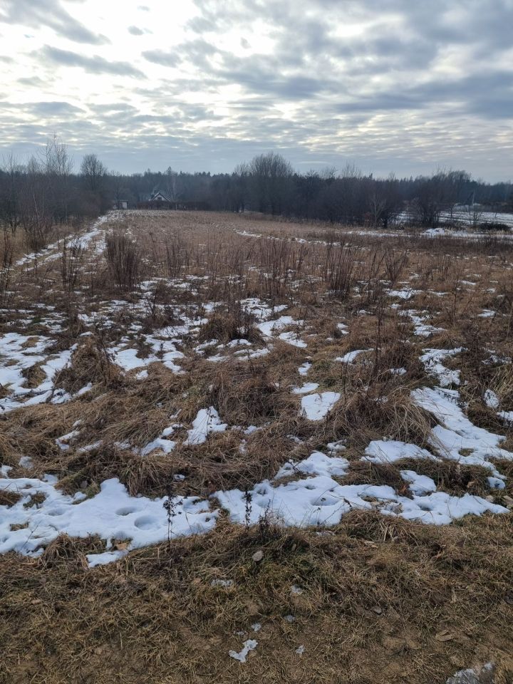 Działka rolna Pierzchno. Zdjęcie 2