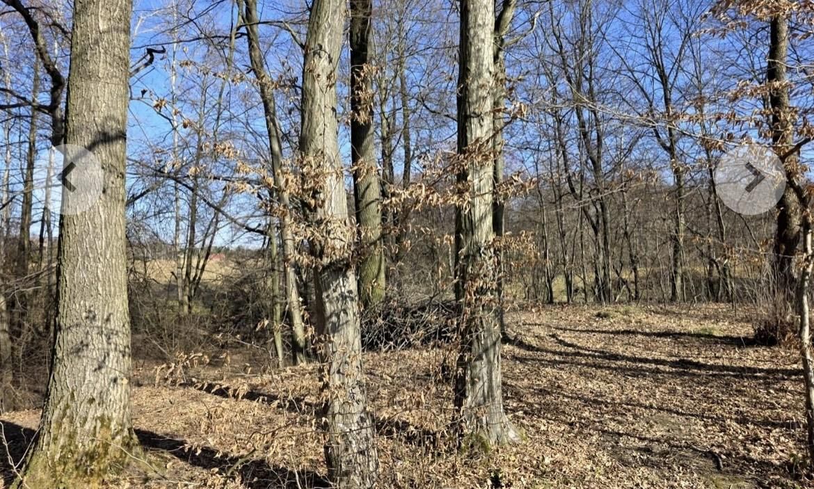 siedlisko, 3 pokoje Wójtowa. Zdjęcie 20
