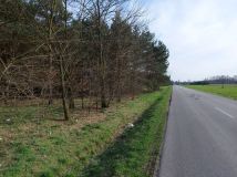 Działka budowlana Drzązna. Zdjęcie 4