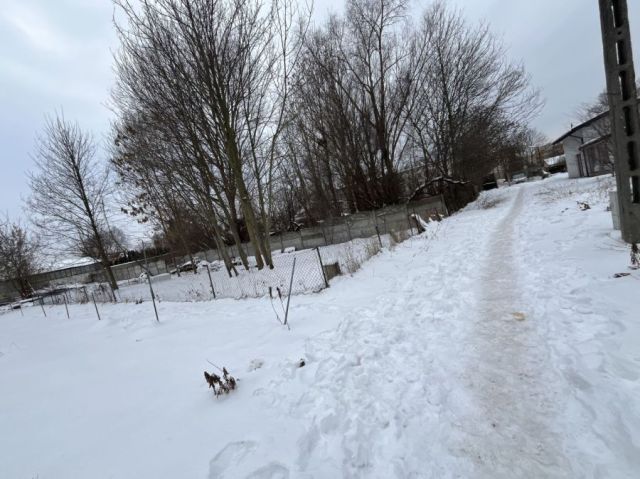Działka rod Gdańsk Olszynka, ul. Wschodnia. Zdjęcie 1