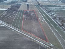 Działka rolna Kotlice. Zdjęcie 3