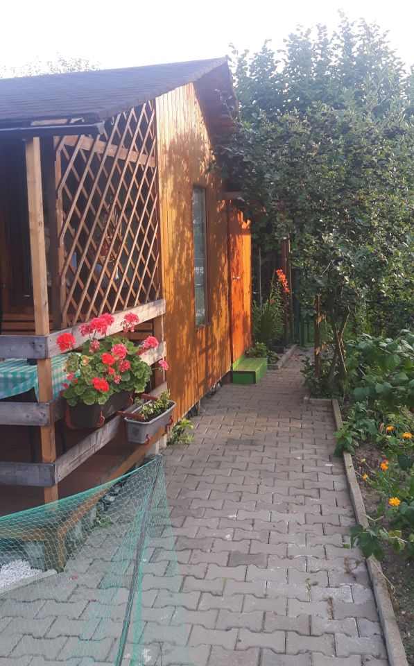 Działka rod Zaborze, Przy potoku. Zdjęcie 2