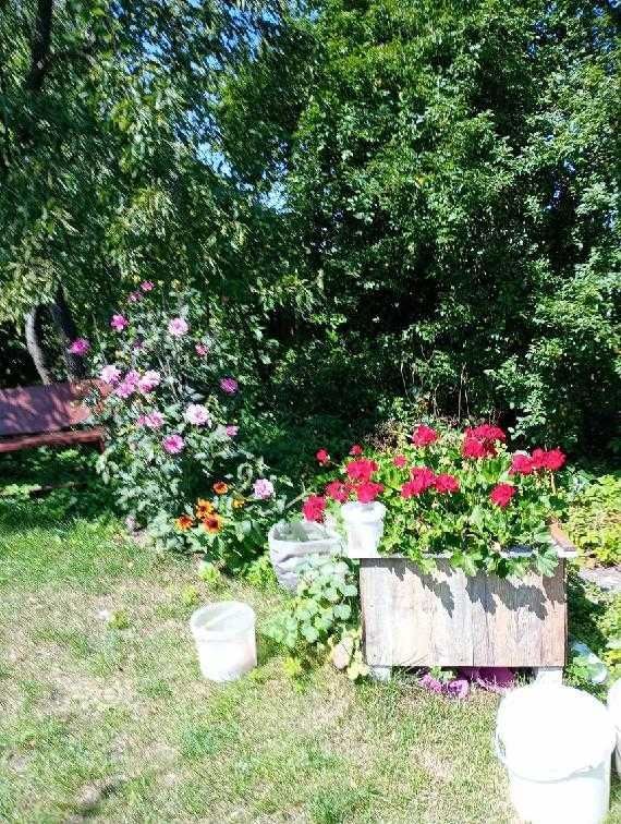 Działka rod Pleszew, ul. Wierzbowa. Zdjęcie 8