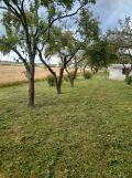 Działka rolno-budowlana Staszów, ul. Krakowska. Zdjęcie 2